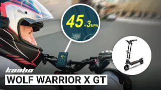 wolf warrior x gt review the wolf we ve been hungry for 