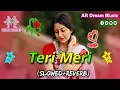 Lagu Teri Meri | Hindi Lofi Songs | New Hindi Gaan ( Slowed Reverb ) Tiktok Viral Gaan _AR Dream Music