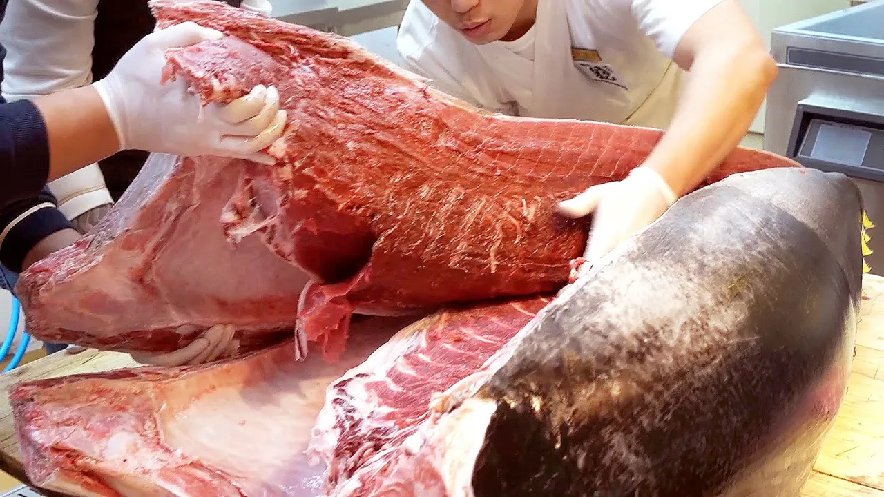 [All Ver] GIANT BLUEFIN TUNA FISH CUTTING SASHIMI & SUSHI / HOW TO CUT TUNA / SASHIMI DISH