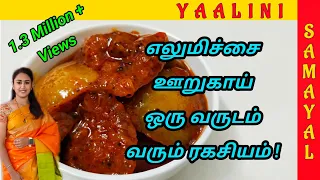  perfect lemon pickle recipe traditional pickle recipe