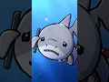 White Shark