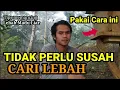 Download Lagu Cara Memancing Lebah Liar dengan Kotak Budidaya