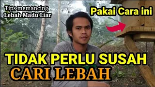 Download Cara Memancing Lebah Liar dengan Kotak Budidaya MP3