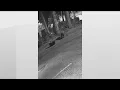 New surveillance shows burglary of popular Buckhead restaurant