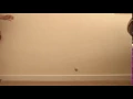 Bouncing Ball Height Reference 1