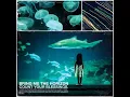 Bring Me The Horizon - Pray For Plagues (HQ)