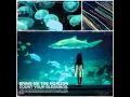 Download Lagu Bring Me The Horizon - Pray For Plagues (HQ)