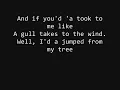 The Shins - New Slang (Lyrics)