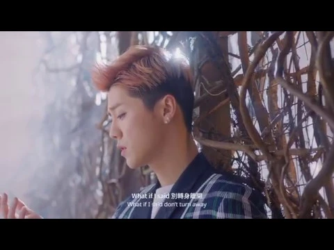 Download MP3 LuHan鹿晗_WHAT IF I SAID_Official Music Video