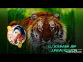 Download Lagu Jungle Ke Raja DJ Sourabh jbp