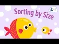 Sorting and Matching Games Learn Sorting by Size for Preschool Kindergarten Kids Academy