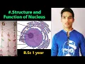 Nucleus structure and function Hammerling Experiment