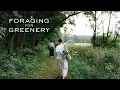 Foraging for Greenery what to forage for floral design