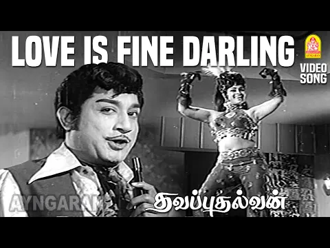 Love Is Fine Darling - YouTube