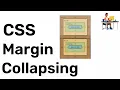 CSS - Margin Collapsing Why it happens Hindi Coding Scenes