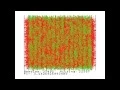 Simulation of Buffon s Needle Problem with a MSX Computer