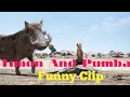 Download Lagu Timon And Pumba Best Funny Clips In Hindi | Hollywood Hindi Dubbed Funny Clips | The Lion King.
