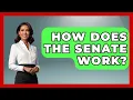 How Does the Senate Work Inside the Legislative Branch