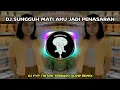 Download Lagu DJ SUNGGUH MATI AKU JADI PENASARAN SLOW REMIX VIRAL TIKTOK