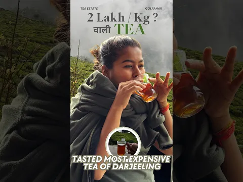₹2Lakh per Kg Wali 🍵 Chai Ka Sach ! 😳 Darjeeling Ki Most Expensive Tea Tasting 🐛 |@ghumakkadlaali
