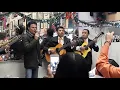 Pedro Fernández y Trío Romanza cantan "Gema"
