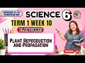 SCIENCE 6 Term 1 Week 10 - Plant Reproduction and Propagation