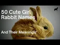 50 Cute Girl Rabbit Names - and Their Meaning