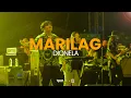 Lagu Dionela - Marilag
