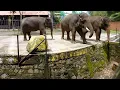 Download Lagu Best Tourist Attractions you MUST SEE in Malang, Indonesia | 2019