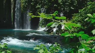 مزمور    الساكن في عون العلي أبونا فيلوباتير كمال مزامير بالموسيقى وخلفية صوت مياه مريح دندنها