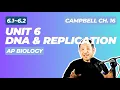 AP BIOLOGY Campbell Chapter 16 - DNA Replication and structure REVIEW