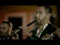 Banda Carnaval, Valentín Elizalde - Volveré A Amar