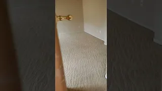 535 Centre Court Drive Tracy Ca Second Floor