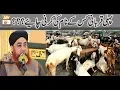 Download Lagu Pahli Qurbani Kis Ke Naam Ki Karni Chaiye?? | MUfti Muhammad Akmal.
