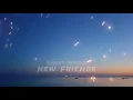 Lainey Wilson - New Friends