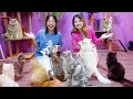 Download Lagu PERGI KE DUNIA KUCING!! MAIN BERSAMA PULUHAN RIBU KUCING!!