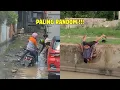 Lagu Video Random Warga Plus 62 Paling Ngakak 😭 Part 1