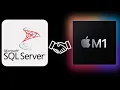 Run MS SQL Azure Edge on Mac M1 4K
