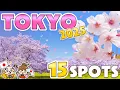 Download Lagu Cherry Blossom Spots in Tokyo 2025 / Things to know before traveling to Japan / Sakura Travel Tips