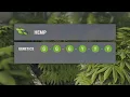 How to get perfect clones in 30 seconds