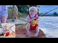 Download Lagu Baby monkey lulu had a great experience.