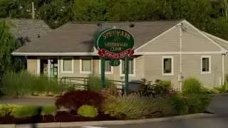 Spinnaker Veterinary Clinic Tour