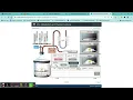 PEx Metabolism and Thyroid Lab