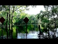 High Springs Florida Hurricane Irma SantaFe River Flooding