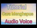 Tutorial Cara Menghapus Audio WhatsApp Dengan Simpel