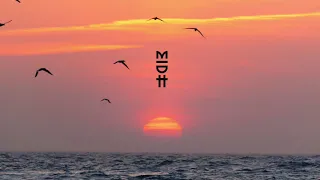 kaysoul venice babis kotsanis remix 