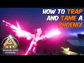 How To Trap and Tame a Phoenix in ARK Survival Ascended