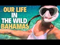 Download Lagu SAILING THE JUMENTOS CAYS – FRESH FISH, SHARKS \u0026 LIVING OFF THE LAND! Ep 181