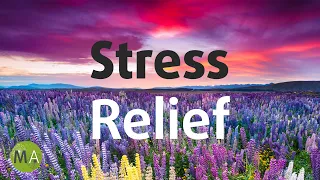 Calm Your Mind Quickly With Stress Relief Isochronic Tones  Calm Your Mind Quickly With Stress Relief Isochronic Tones