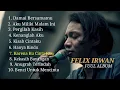 Download Lagu Felix Irawan full album